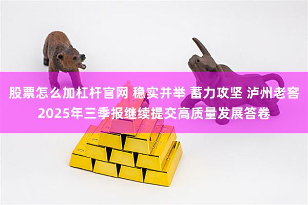 股票怎么加杠杆官网 稳实并举 蓄力攻坚 泸州老窖2025年三季报继续提交高质量发展答卷